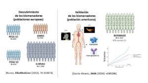 Esquema ilustrativo del estudio sobre la presencia de aterosclerosis subclínica y de eventos cardiovasculares.