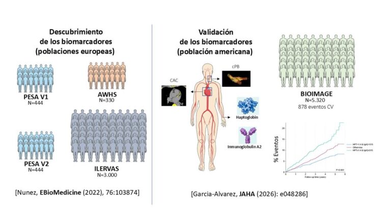 Esquema ilustrativo del estudio sobre la presencia de aterosclerosis subclínica y de eventos cardiovasculares.