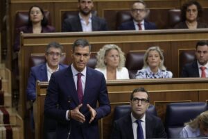 El presidente del Gobierno, Pedro Sánchez Pérez-Castejón. Foto: ©Congreso de los Diputados.