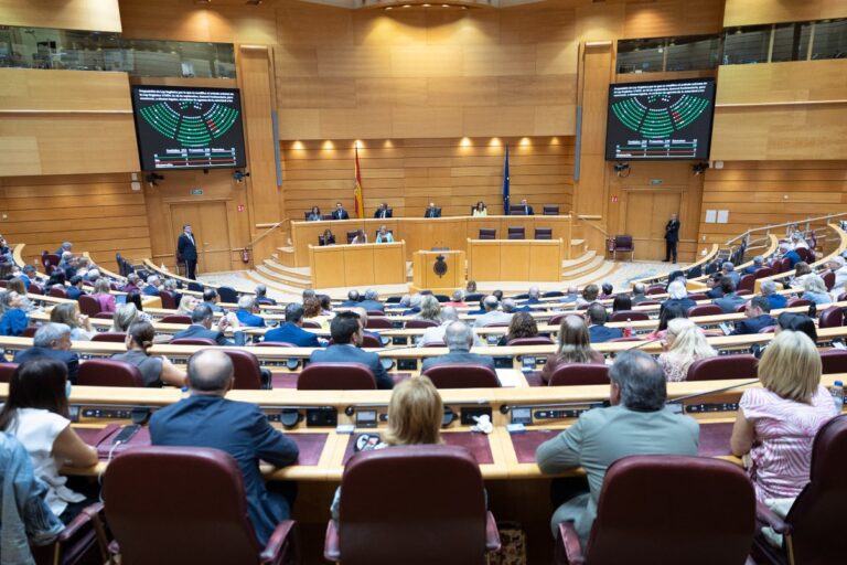 Sesión plenaria en el Senado. Foto: ©Senado de España/ Oficial.